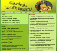 gaujienasvidusskola.lv